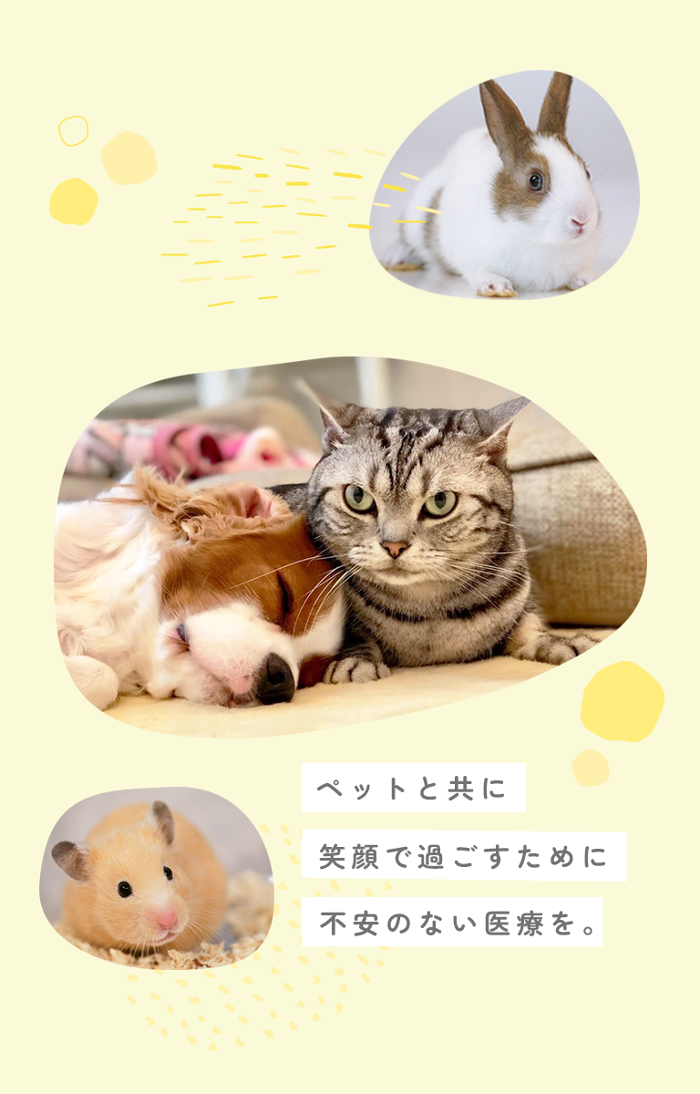 小林ペットクリニックのサイトバナー